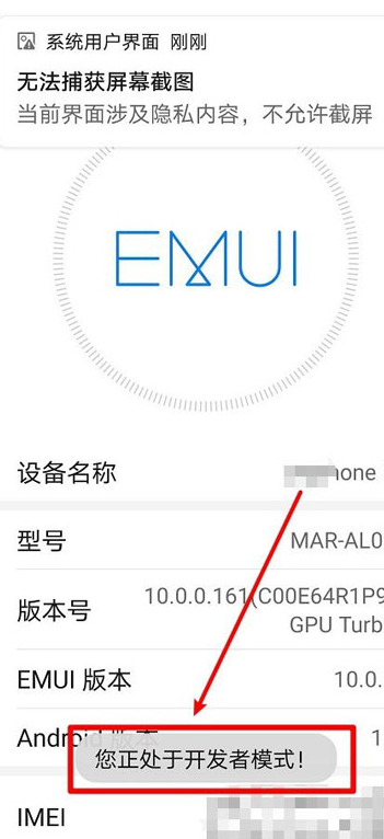 华为开发人员选项怎么打开（华为系统怎么进入开发者模式）插图6