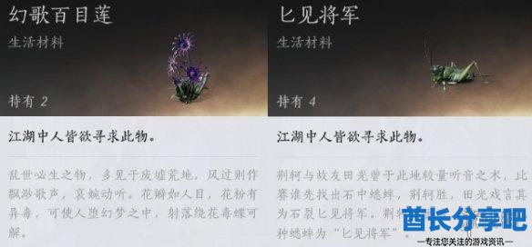 酋长游戏吧3