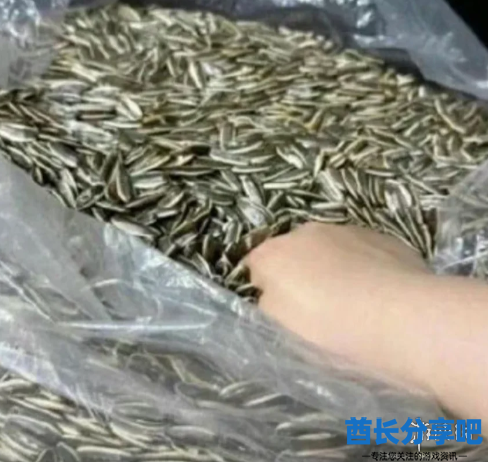 酋长游戏吧16