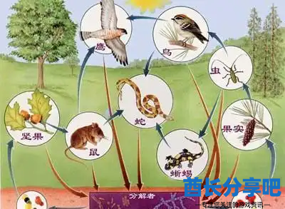 酋长游戏吧2